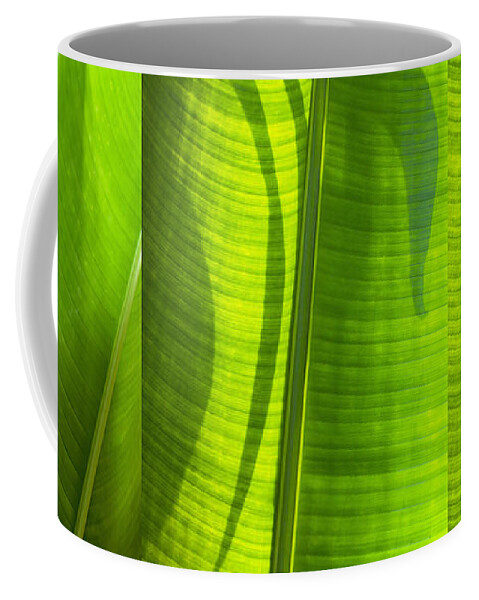 Abstract Coffee Mug featuring the photograph Green Leaf by Setsiri Silapasuwanchai