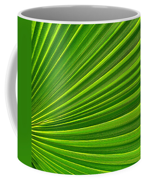 Abstract Art Coffee Mug featuring the photograph Green Perspective by Steven Huszar