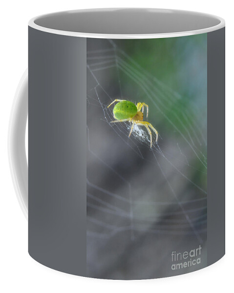 Yhun Suarez Coffee Mug featuring the photograph Green Spider 1.0 by Yhun Suarez