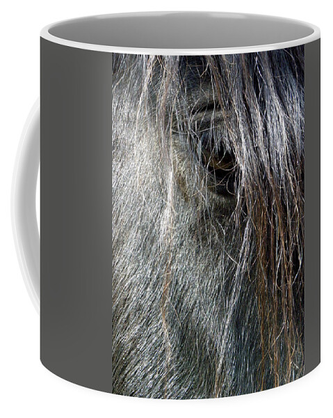 Gypsy Vanner Horse Coffee Mug featuring the photograph Gypsy Eye by Kim Galluzzo