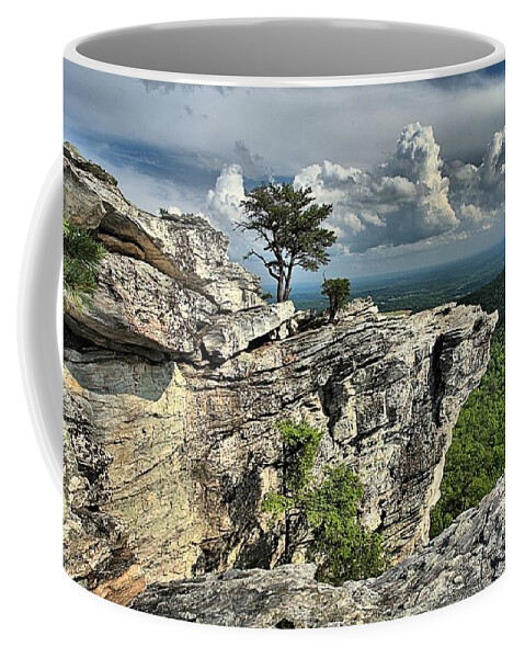 Hanging Rock State Park Coffee Mug featuring the photograph Hanging In North Carolina by Adam Jewell