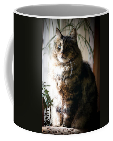 Cat Coffee Mug featuring the photograph Harvey Wallbanger by Trish Tritz