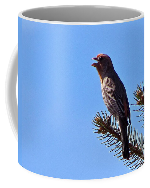 Noisy Little Bird Coffee Mug featuring the photograph He really Sings by Phyllis Kaltenbach