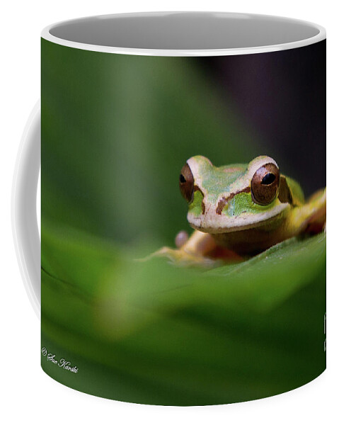 Costa Rica Coffee Mug featuring the photograph Heres Looking at You by Sue Karski
