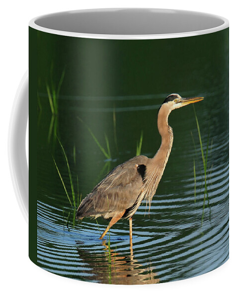 Water Coffee Mug featuring the photograph Heron Sunrise by Craig Leaper