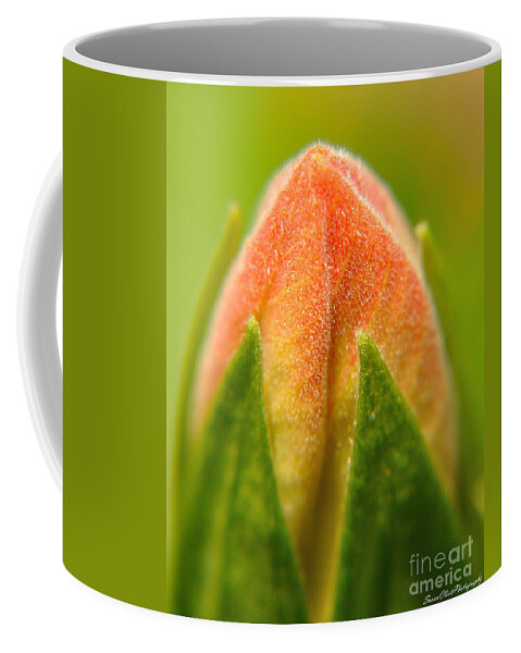 Flower Coffee Mug featuring the photograph Hibiscus Bud by Susan Cliett