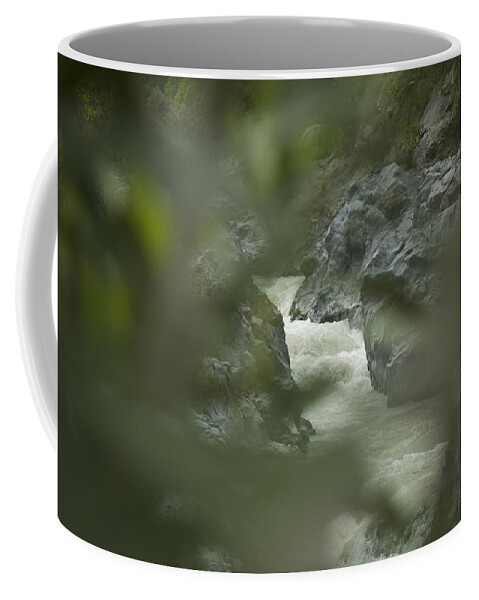 Gola Coffee Mug featuring the photograph Hiding by Donato Iannuzzi