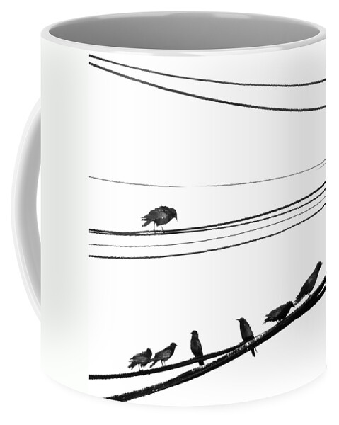 Crows Coffee Mug featuring the photograph Higher Seven by J C