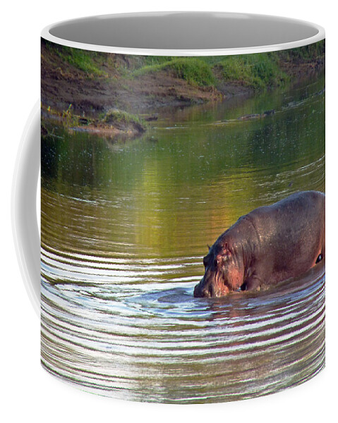 Kenya Coffee Mug featuring the photograph Hippopotamus in Mara River by Tony Murtagh