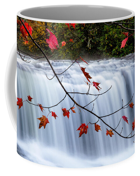 Fall Foliage At Hooker Falls Coffee Mug featuring the photograph Hooker Falls Blue Ridge Mountains North Carolina by Dawna Moore Photography