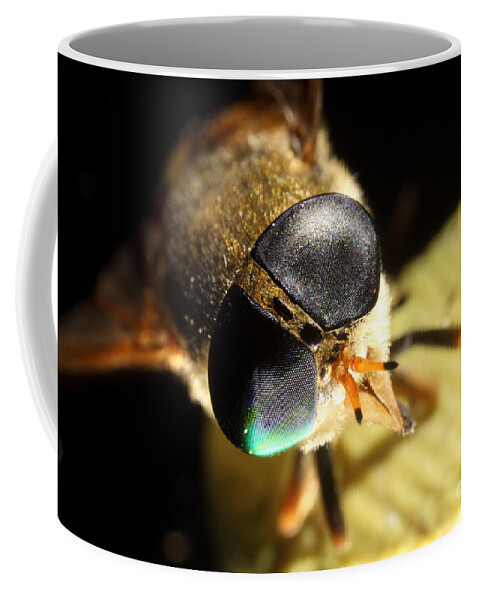 Horse Fly Coffee Mug featuring the photograph Horse Fly by Ted Kinsman