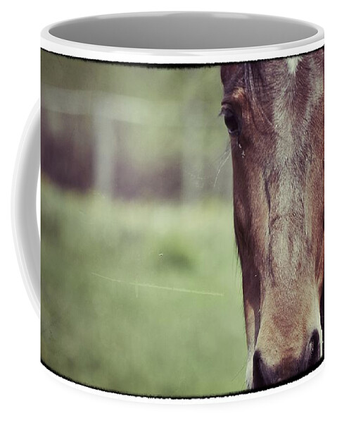 Horse Coffee Mug featuring the photograph Horse Love by Traci Cottingham