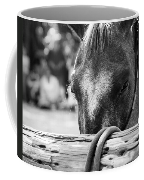 Horse Coffee Mug featuring the photograph Horse Waiting by Constance Sanders