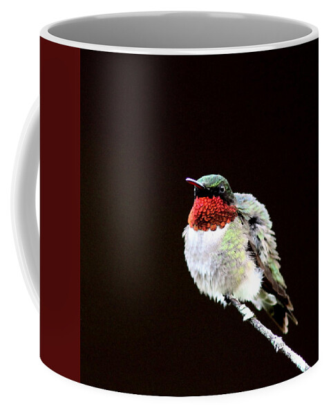 Hummingbird Coffee Mug featuring the photograph Hummingbird - Ruffled Feathers by Travis Truelove