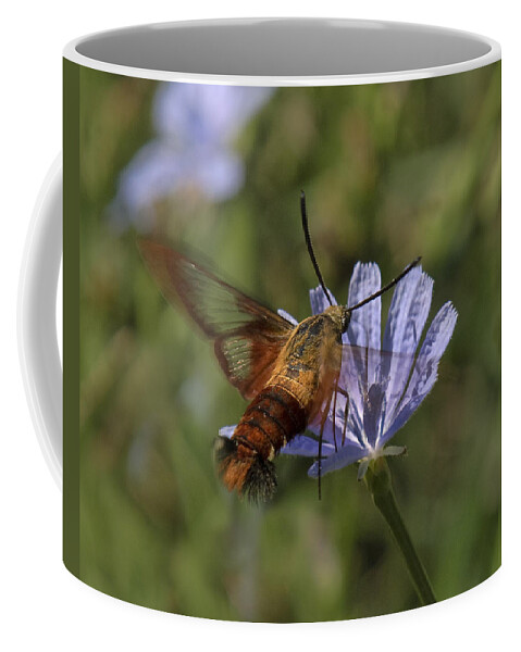 Nature Coffee Mug featuring the photograph Hummingbird or Clearwing Moth DIN137 by Gerry Gantt