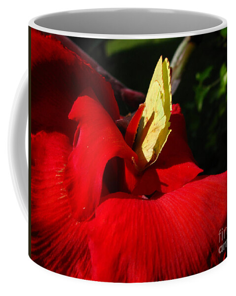 Flower Coffee Mug featuring the photograph Hungry by Donna Brown