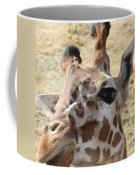 Giraffe Coffee Mug featuring the photograph I see you by Kim Galluzzo Wozniak