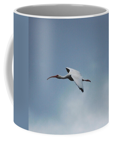 Birds Coffee Mug featuring the digital art Ibis in Flight by David Lane