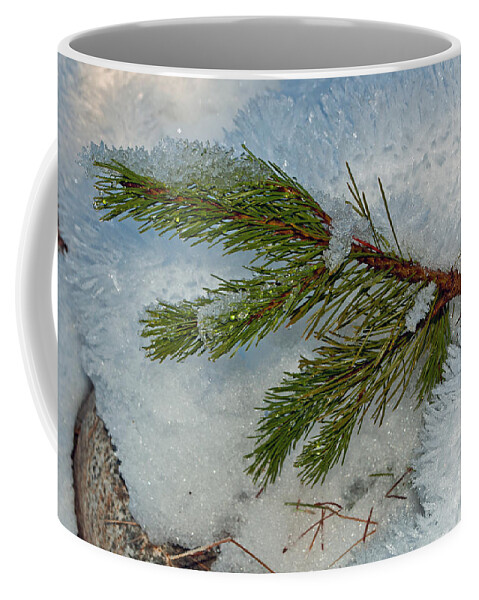 Snow Coffee Mug featuring the photograph Ice Crystals and Pine Needles by Tikvah's Hope