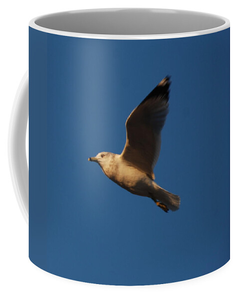 Bird Coffee Mug featuring the photograph In flight by Richard Bryce and Family