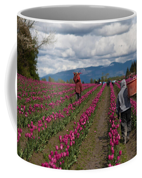 Tulip Coffee Mug featuring the photograph In the Tulip Fields by Mike Reid