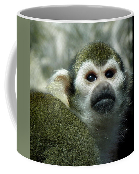 Monkey Coffee Mug featuring the photograph In Thought by Kim Galluzzo