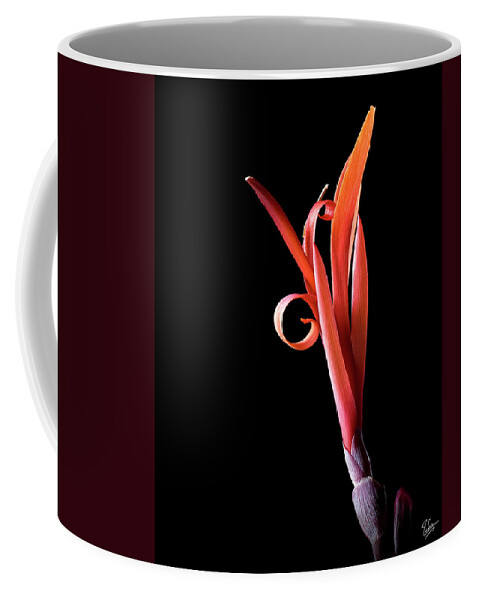 Flower Coffee Mug featuring the photograph Indian Shot by Endre Balogh
