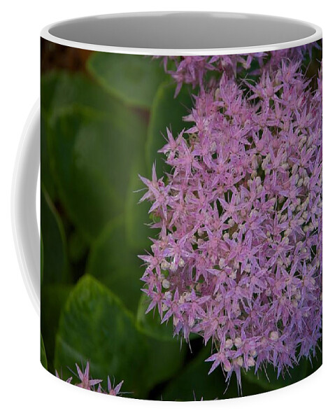 Flower Coffee Mug featuring the photograph Inner White by Joseph Yarbrough