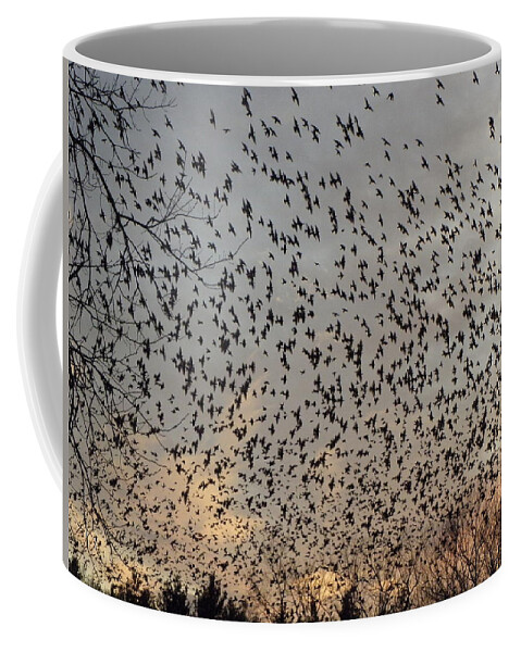 Starlings Coffee Mug featuring the photograph Invasion Of The Birds by Kim Galluzzo Wozniak