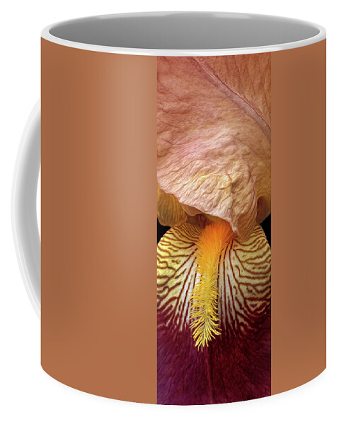Iris Coffee Mug featuring the photograph Iris Study by Dave Mills