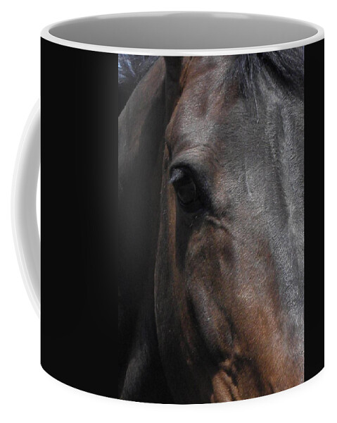 Horse Coffee Mug featuring the photograph It's in the Eye by Kim Galluzzo