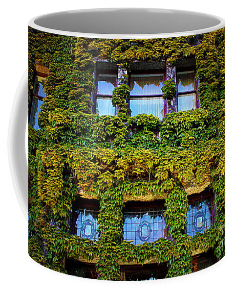 Ivy Coffee Mug featuring the photograph Ivy Windows - Digital Art by Carol Groenen