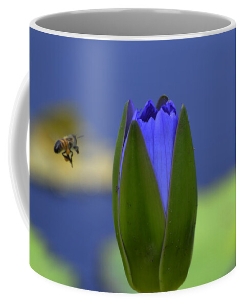 Bee Coffee Mug featuring the photograph Jackpot by Melanie Moraga