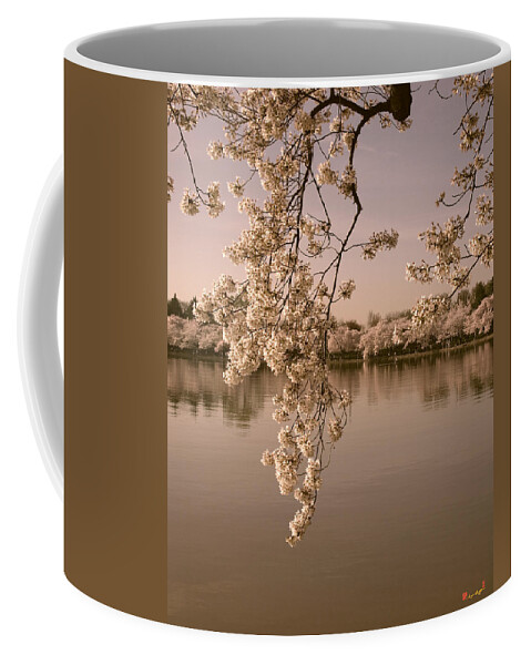 Washington D.c. Coffee Mug featuring the photograph Japanese Cherry Tree Blossoms over the Tidal Basin in Sepia DS019S by Gerry Gantt