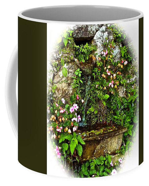 Water Coffee Mug featuring the photograph Japanese water feature by Jocelyn Kahawai