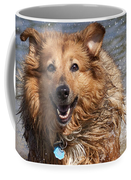 Best Friend Coffee Mug featuring the photograph Jesse by Jeannette Hunt