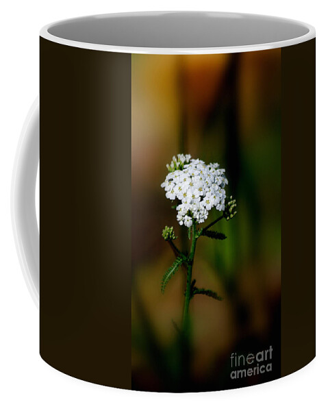 Photography Coffee Mug featuring the photograph Just For You by Vicki Pelham