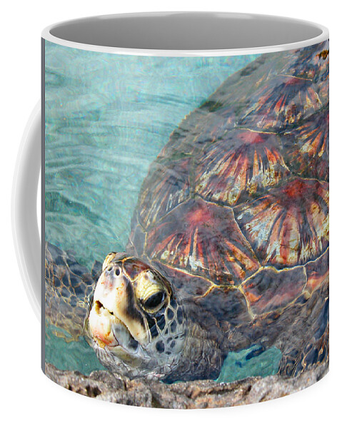 Turtles Coffee Mug featuring the photograph Just Saying Hello by Lynn Bauer