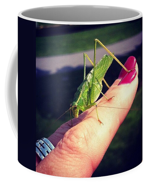 Katydid Coffee Mug featuring the photograph #katydid ...oh The Irony by Katie Cupcakes
