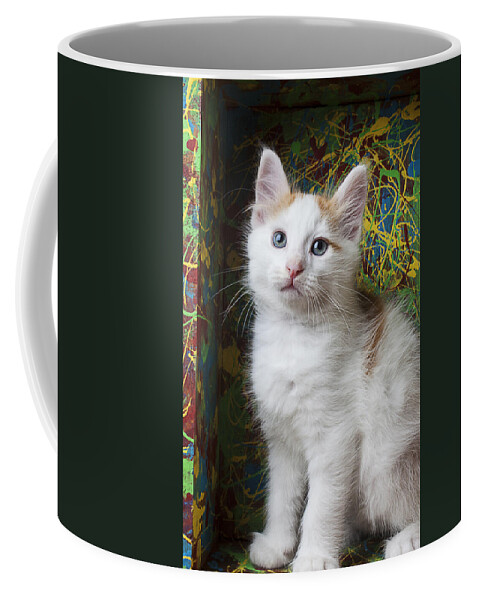 Boxes Coffee Mug featuring the photograph Kitten in painted box by Garry Gay