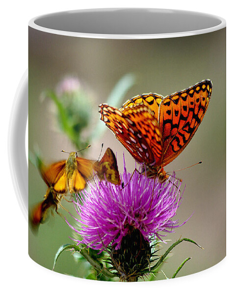 Photograph Coffee Mug featuring the photograph Late for Lunch by Vicki Pelham