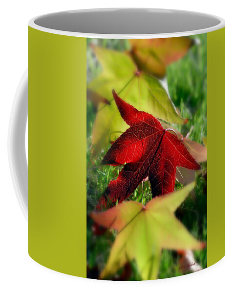 Leaves Coffee Mug featuring the photograph Leaves Of Grass by Donna Blackhall