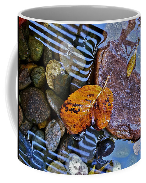 Leaves Coffee Mug featuring the photograph Leaves Rocks Shadows by Bill Owen