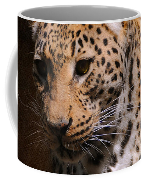 Animal Coffee Mug featuring the photograph Leopard I by Jai Johnson