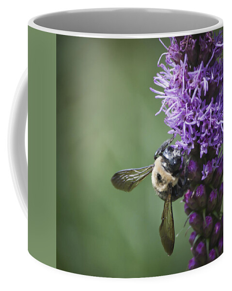 Gayfeather Coffee Mug featuring the photograph Liatris and Bee Squared 2 by Teresa Mucha
