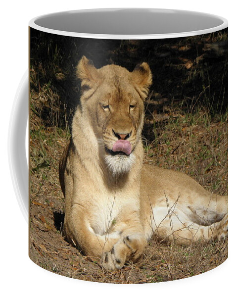 Lion Coffee Mug featuring the photograph Licking Lips by Kim Galluzzo Wozniak
