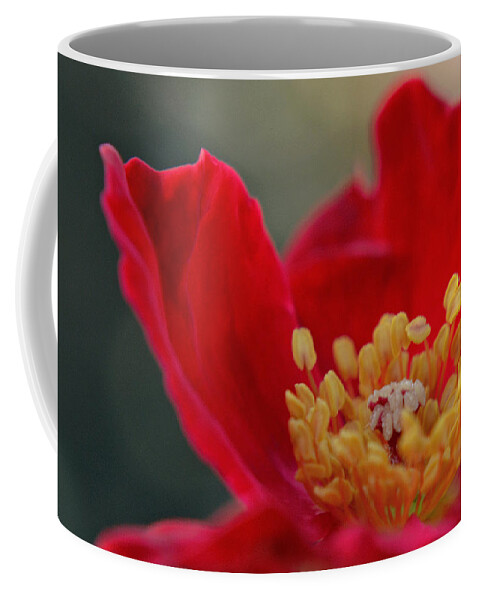 Flower Coffee Mug featuring the photograph Light and Flame by Melanie Moraga