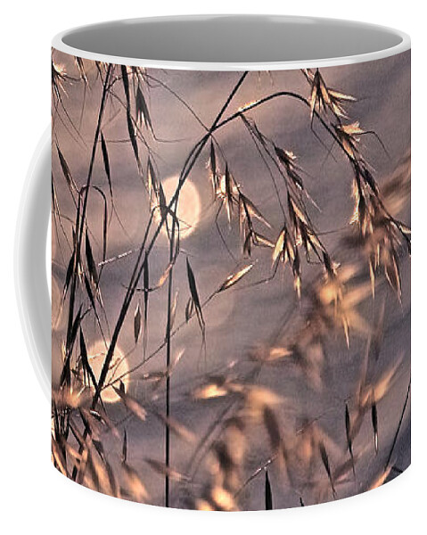 Plant Coffee Mug featuring the photograph Light bubbles and grass 2 by Jocelyn Kahawai