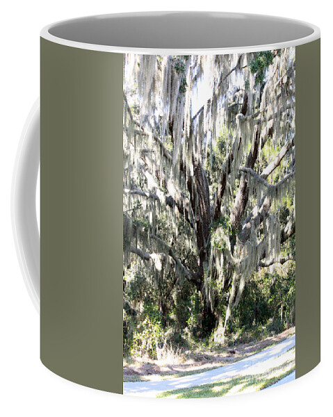Gray Coffee Mug featuring the photograph Light through Mossy Oak by Carol Groenen