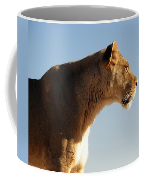 Lioness Coffee Mug featuring the photograph Lioness in all her beauty by Kim Galluzzo